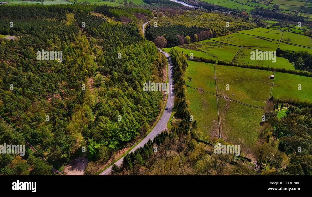 Aerial view of a winding road through a lush green forest next to open ...