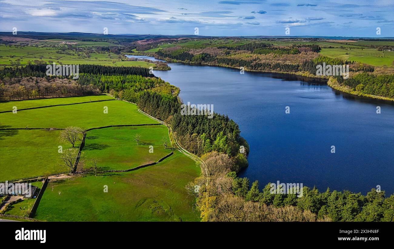 Aerial view of a serene lake surrounded by lush forests and green ...