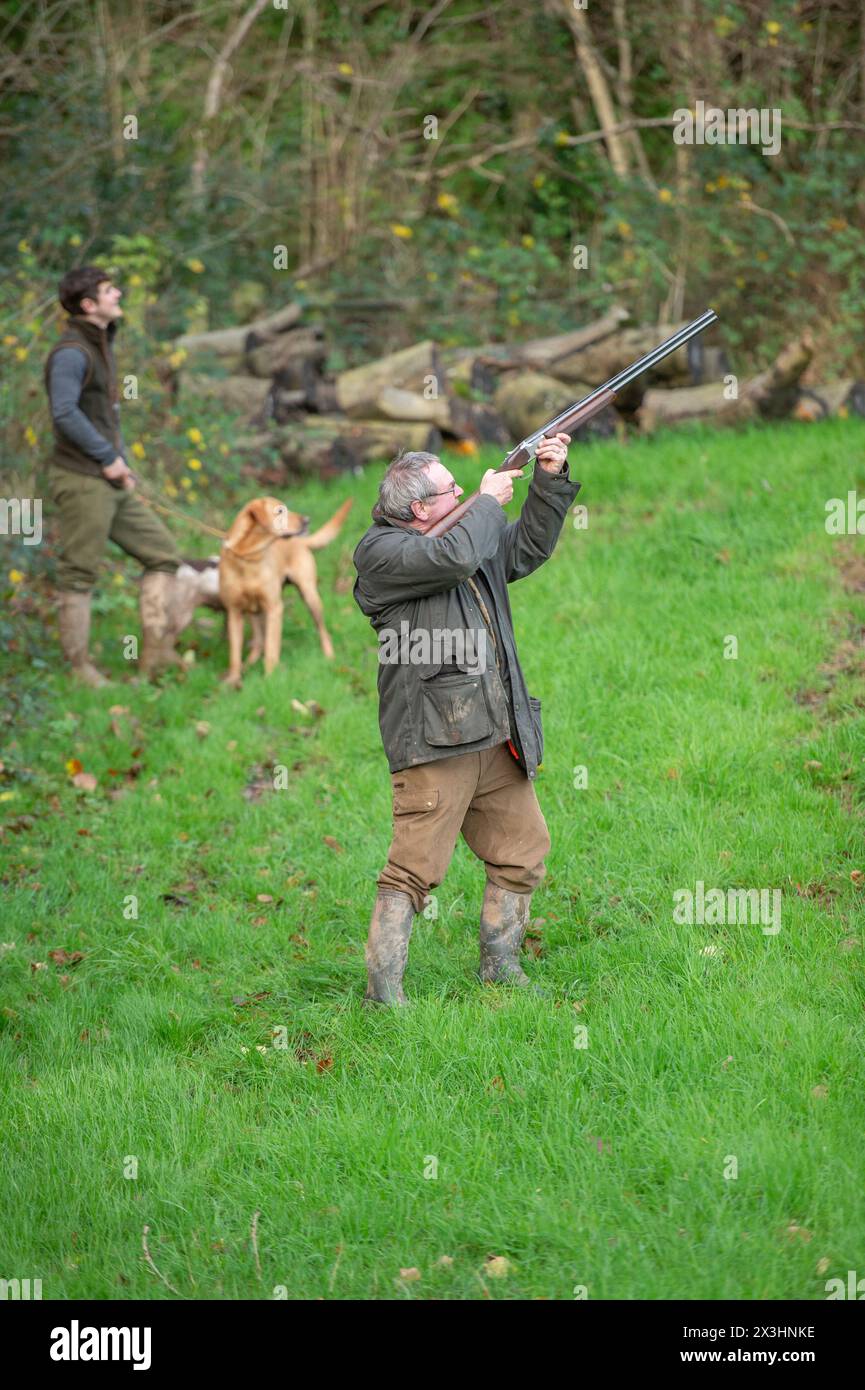 man shooting pheasants Stock Photo