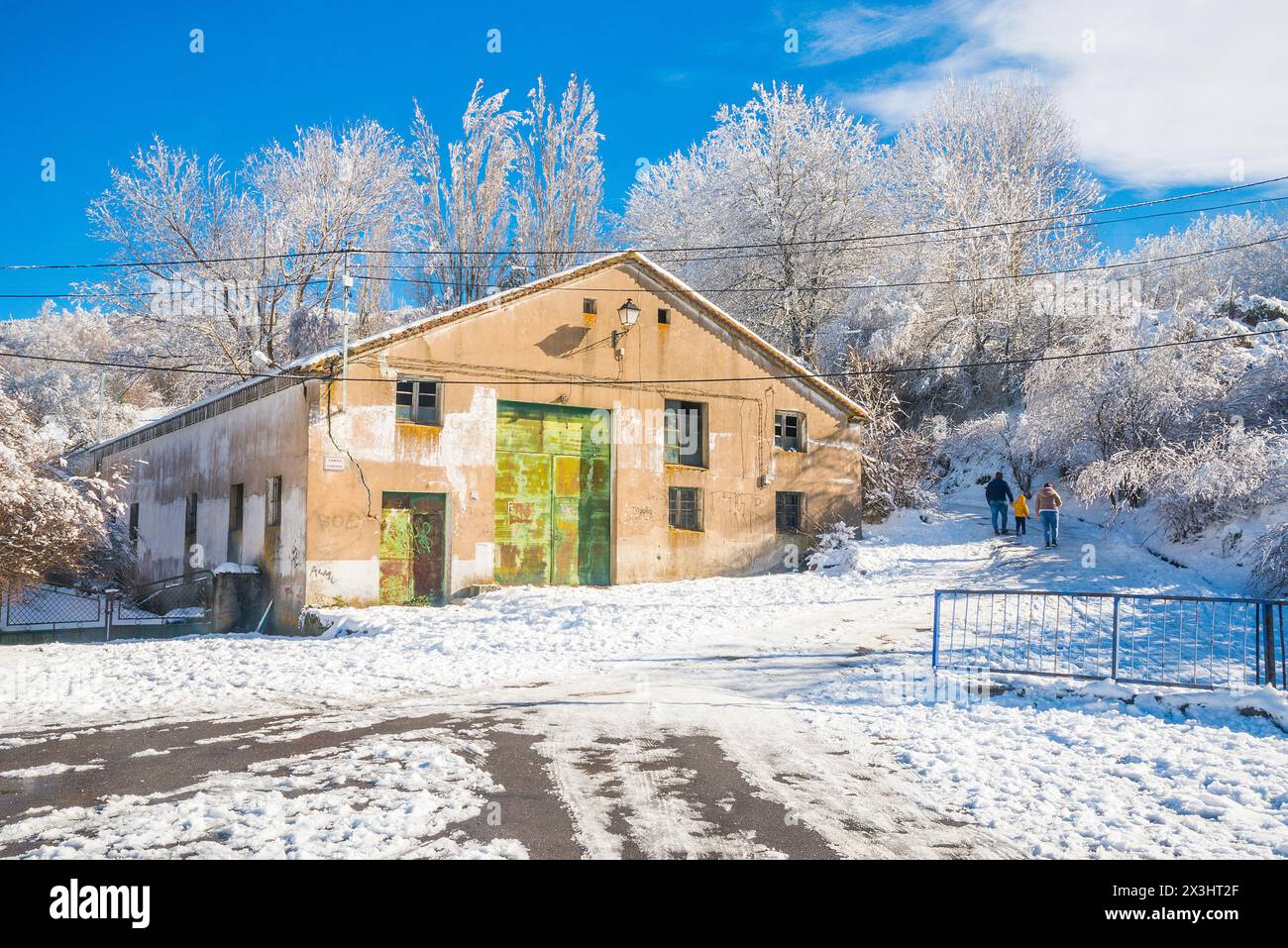 Snowfall. Somosierra, Madrid province, Spain. Stock Photo