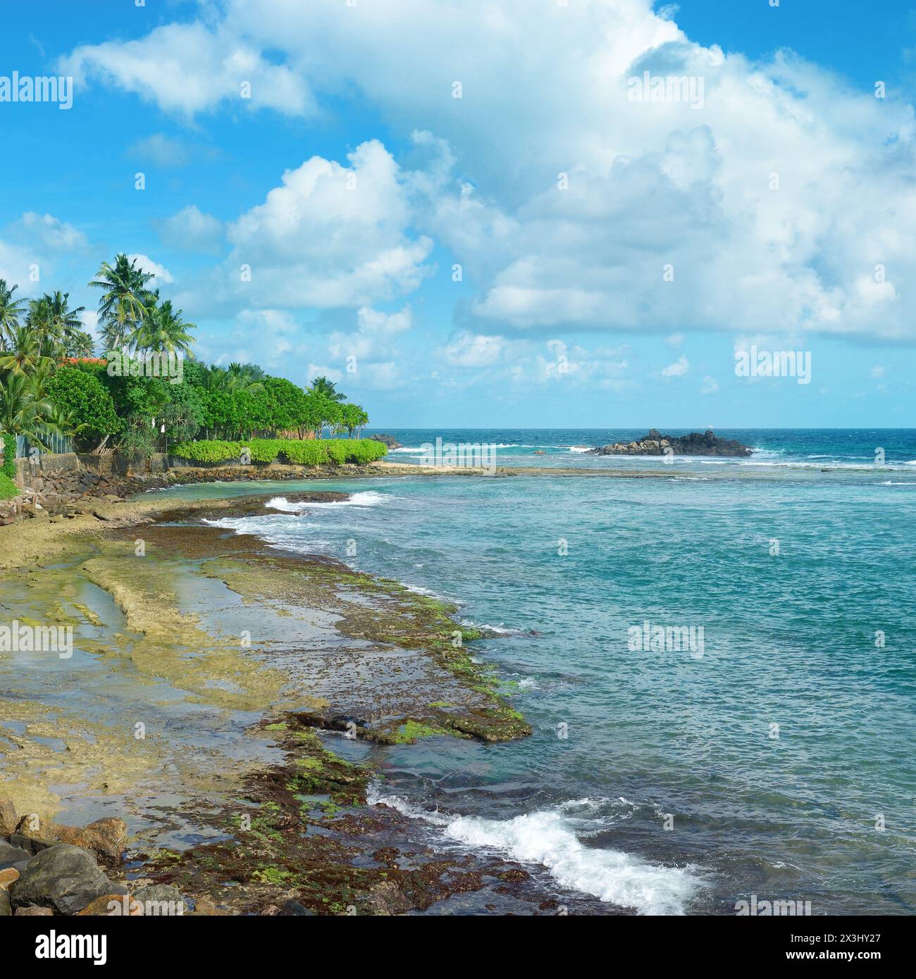 Ocean beach with palm trees and blue sky. Sri Lanka Stock Photo - Alamy