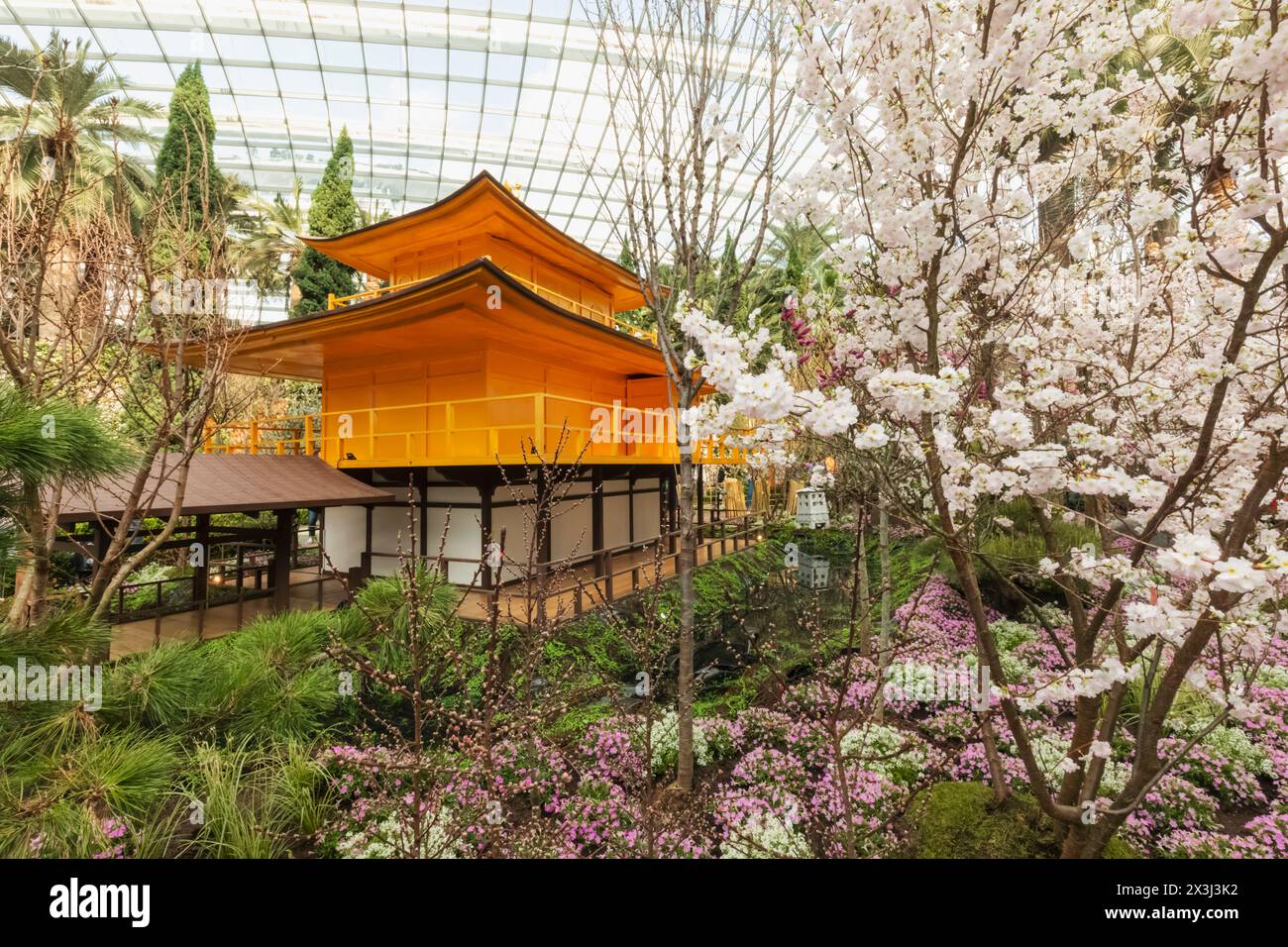 Asia, Singapore, Gardens by the Bay, The Flower Dome, Seasonal display of Japanese Blossom and Japanese Temple Stock Photo