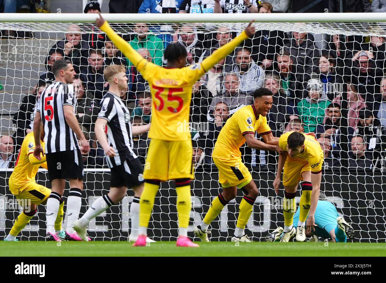 Sheffield United's Anel Ahmedhodzic (right) celebrates scoring their side's first goal of the game during the Premier League match at St. James' Park, Newcastle upon Tyne. Picture date: Saturday April 27, 2024. Stock Photo