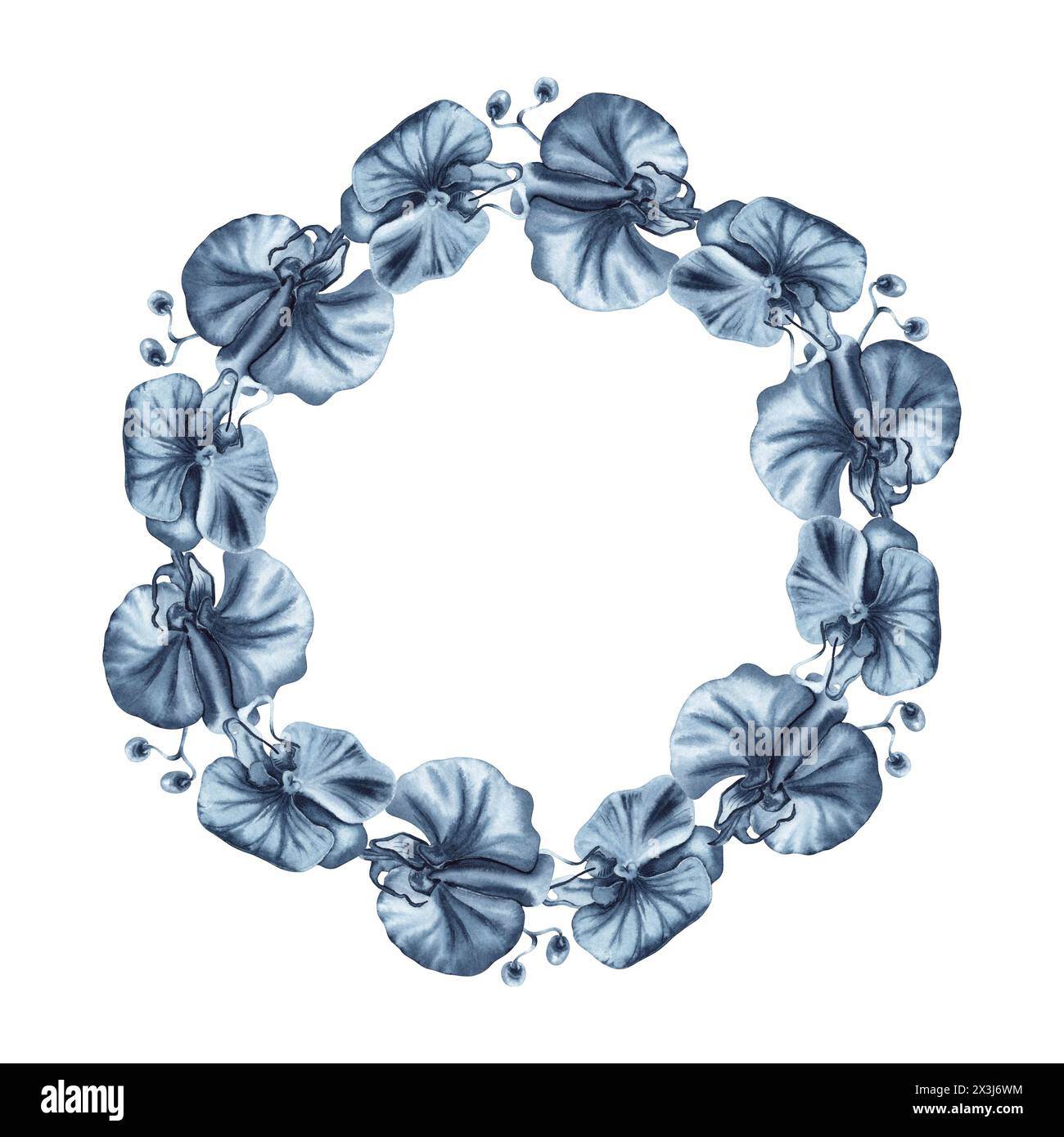 Floral wreath with blue orchid flowers and buds. Hand drawn watercolor illustration isolated on white background. Indigo monochrome round frame Stock Photo