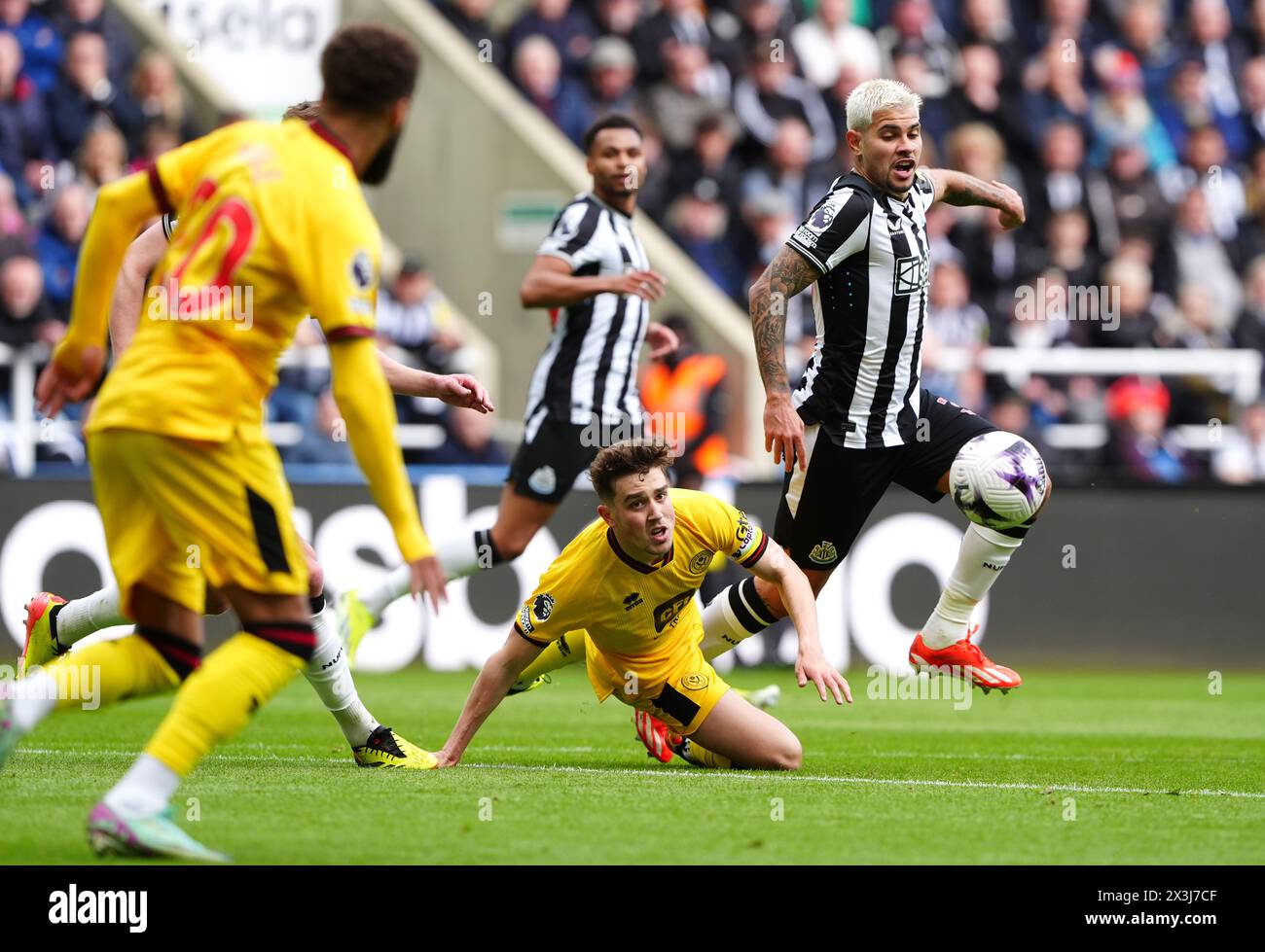 Newcastle United's Bruno Guimaraes (right) is challenged during the Premier League match at St. James' Park, Newcastle upon Tyne. Picture date: Saturday April 27, 2024. Stock Photo