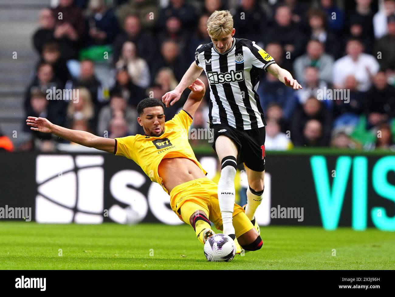 Sheffield United's Mason Holgate (left) challenges Newcastle United's Anthony Gordon during the Premier League match at St. James' Park, Newcastle upon Tyne. Picture date: Saturday April 27, 2024. Stock Photo