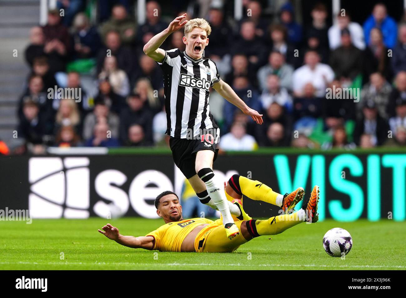 Sheffield United's Mason Holgate (left) challenges Newcastle United's Anthony Gordon during the Premier League match at St. James' Park, Newcastle upon Tyne. Picture date: Saturday April 27, 2024. Stock Photo