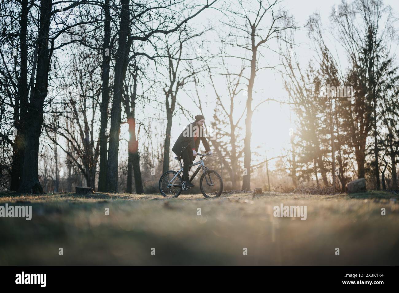 Man enjoys a leisurely bike ride in a sunlit park during the afternoon ...