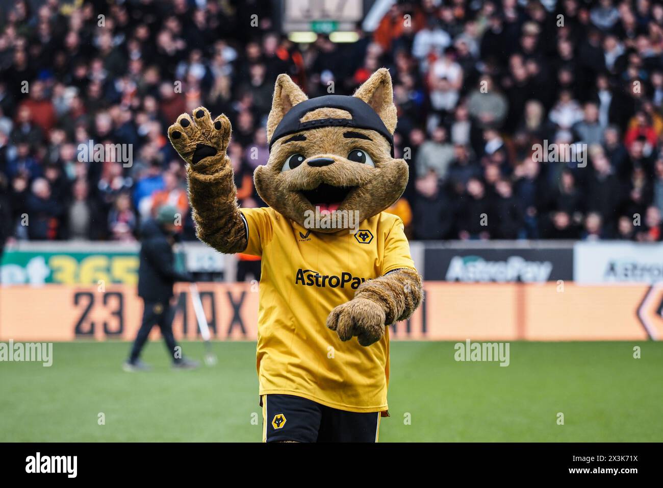 Wolverhampton, UK. 27th Apr, 2024. Wolverhampton, England, April 27th 2024: Team mascot during the Premier League football match between Wolverhampton Wanderers and Luton Town at Molineux stadium in Wolverhampton, England (Natalie Mincher/SPP) Credit: SPP Sport Press Photo. /Alamy Live News Stock Photo