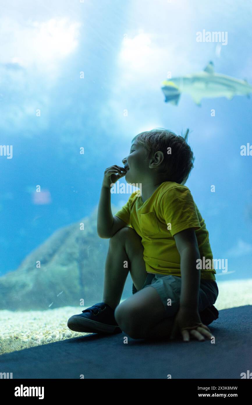 A young boy is sitting on the floor in front of a fish tank - aquarium in oceanarium Stock Photo