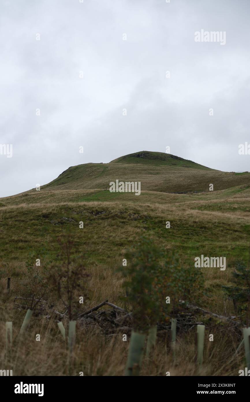 Amidst the Scottish hills, daytime unveils a serene vista, where the earth's gentle contours and verdant hues harmonise in silent poetry. Stock Photo