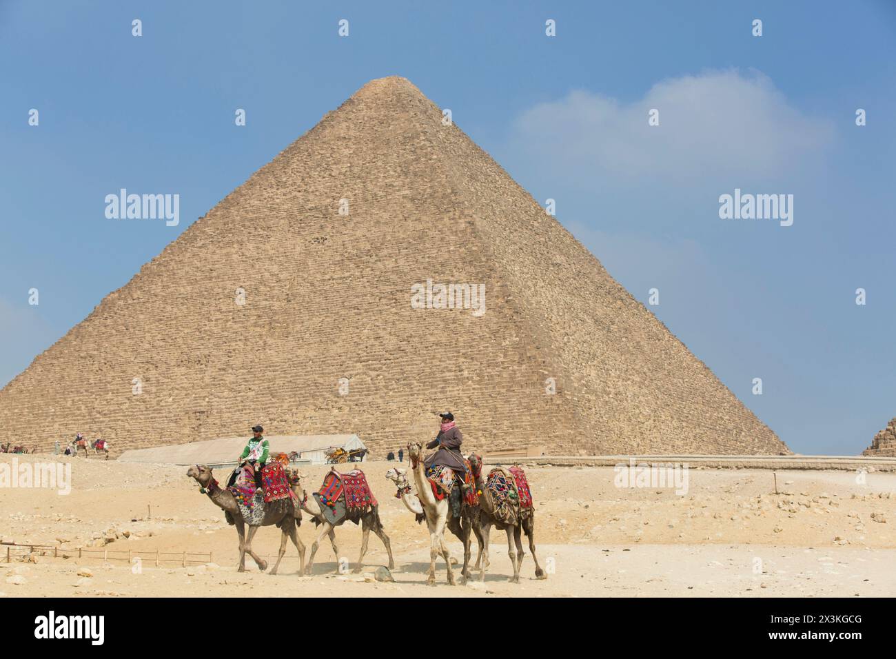 Camels and their Riders, Cheops (Khufu) Pyramid (background), Great ...