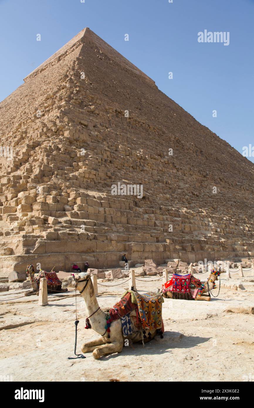 Camels, Khafre Pyramid (background), Great Pyramids of Giza, UNESCO ...