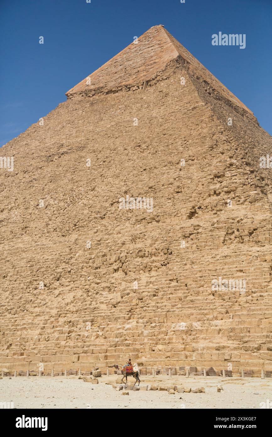 Rider with Camel, Khafre Pyramid (background), Great Pyramids of Giza ...