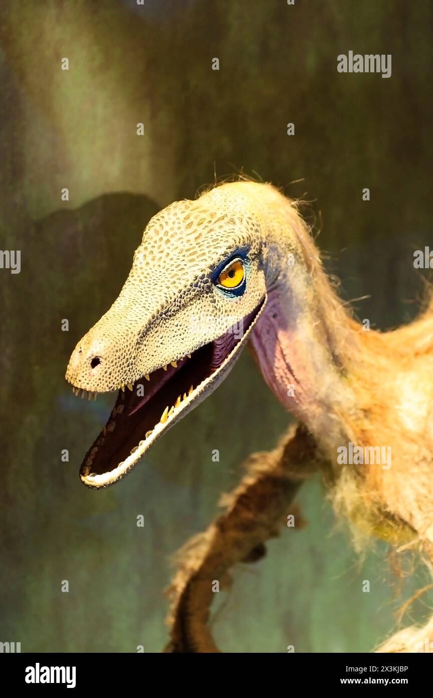 Dino-mite Discovery: Uncovering a Partial Dinosaur Skeleton Stock Photo ...