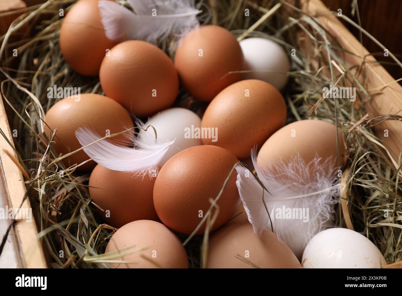 Fresh chicken eggs and dried hay in wooden crate, closeup Stock Photo ...