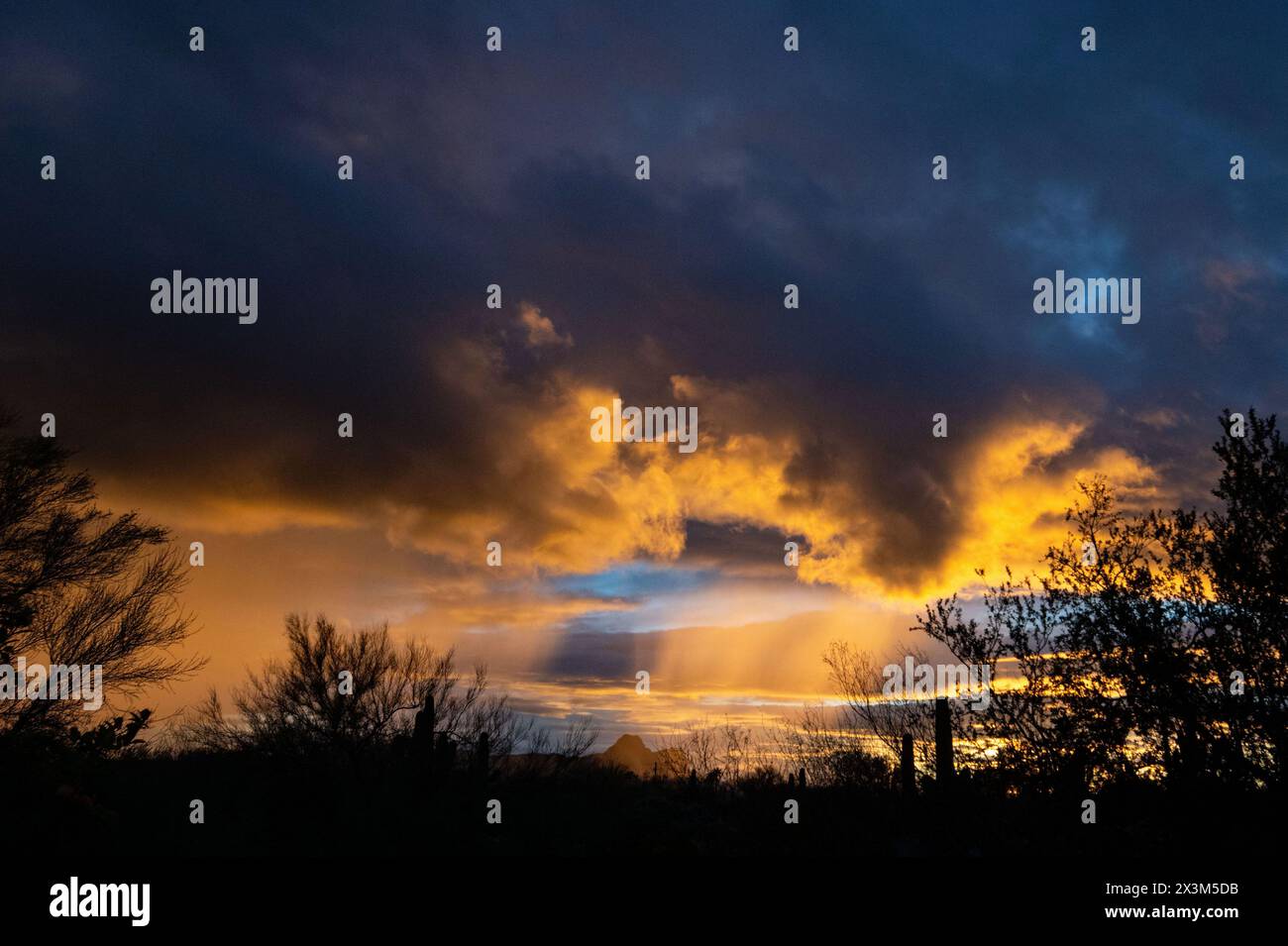 Sunset in the Arizona desert Stock Photo