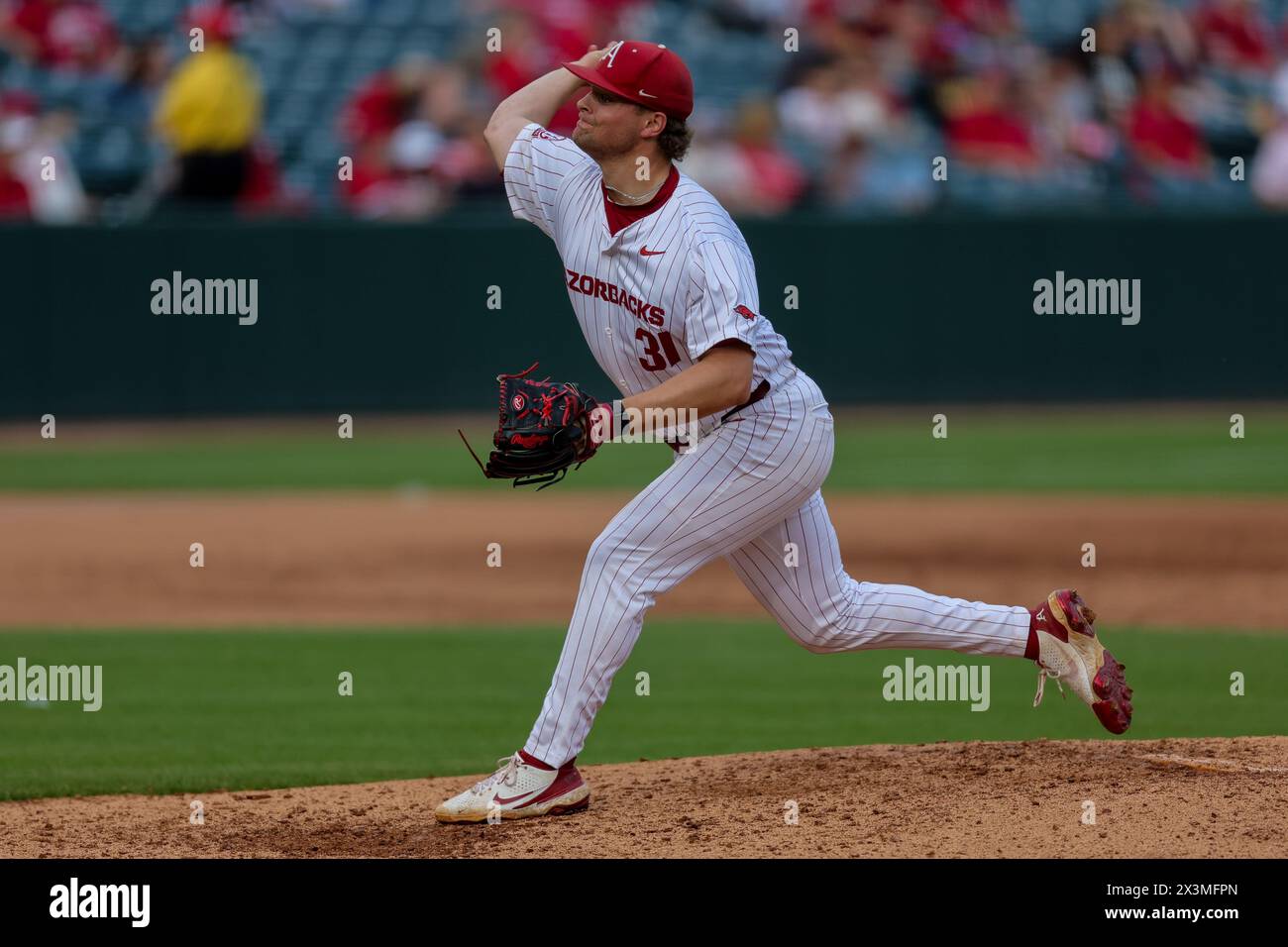 April 27, 2024: Razorback pitcher Dylan Carter #31 works from the mound. Florida defeated Arkansas 9-5 in Fayetteville, AR. Richey Miller/CSM Stock Photo