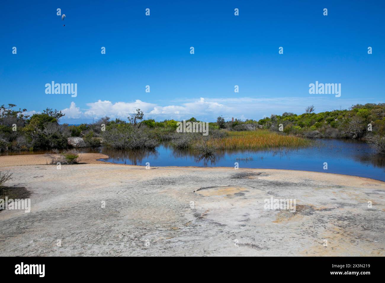 Old Quarry swamp on North Head Manly, located near Shelly beach lookout on the North head road walking trail, Sydney,NSW,Australia Stock Photo