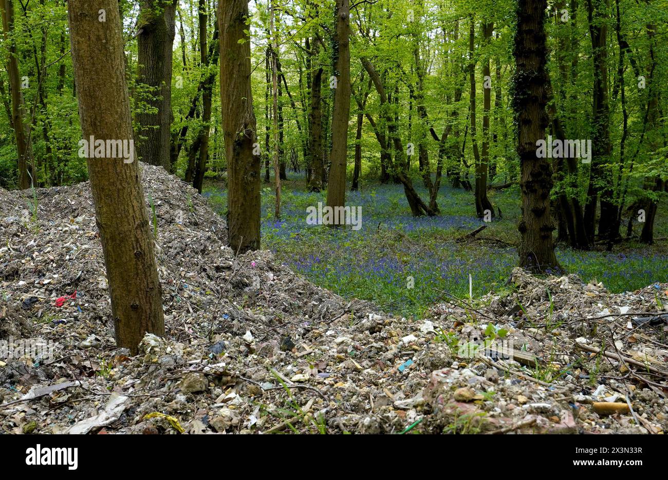 Hoad's wood hi-res stock photography and images - Alamy