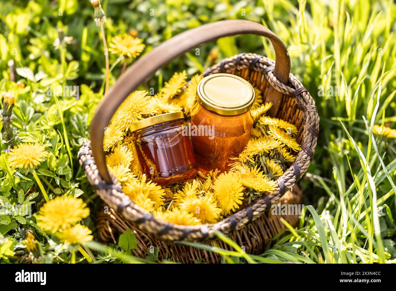 Dandelion flowers in a wicker basket with a jar of honey placed on the ground somewhere in a meadow. Stock Photo