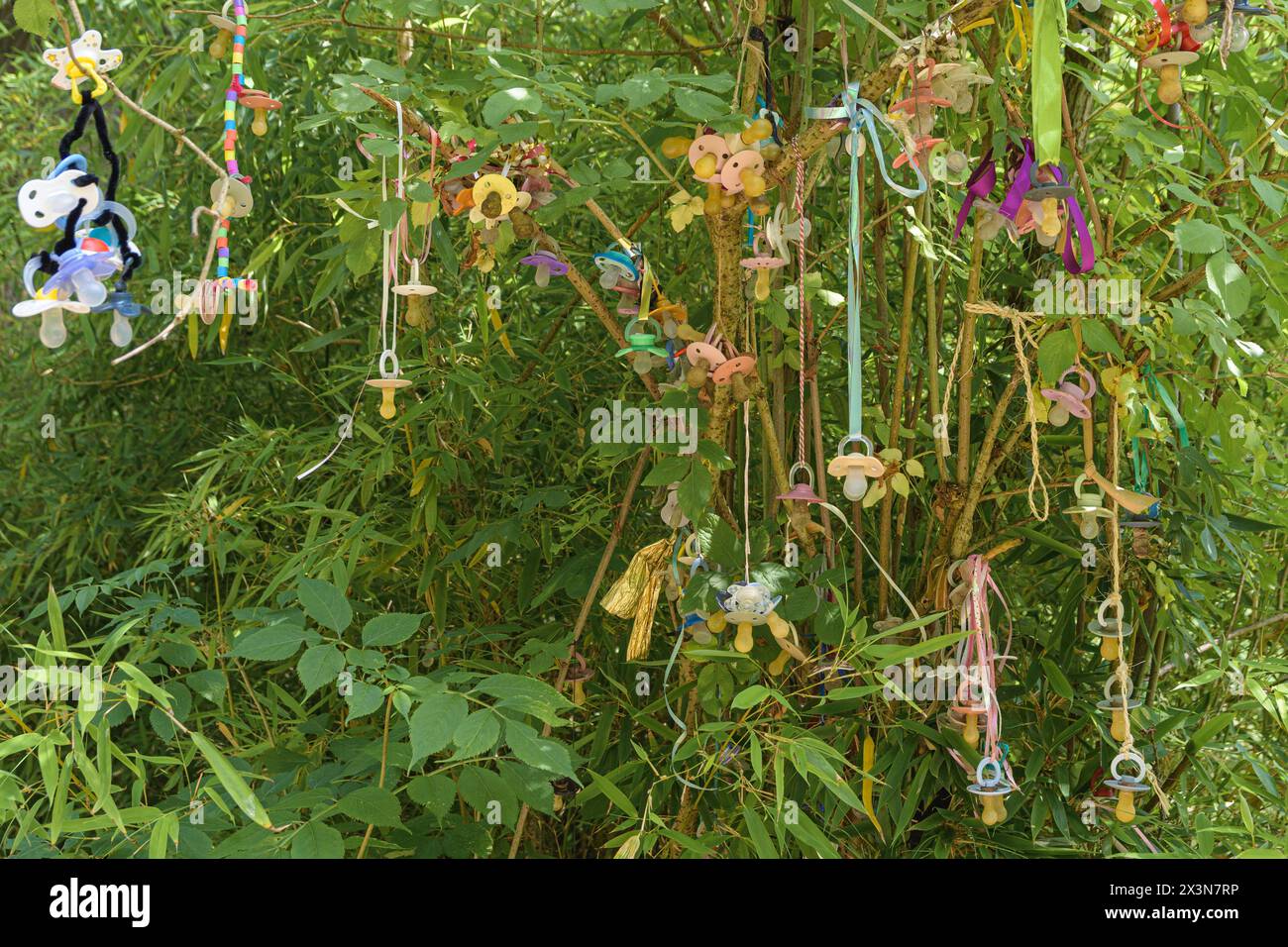 Plant Pacifiers Garden birth child plant hi-res stock photography and images - Alamy