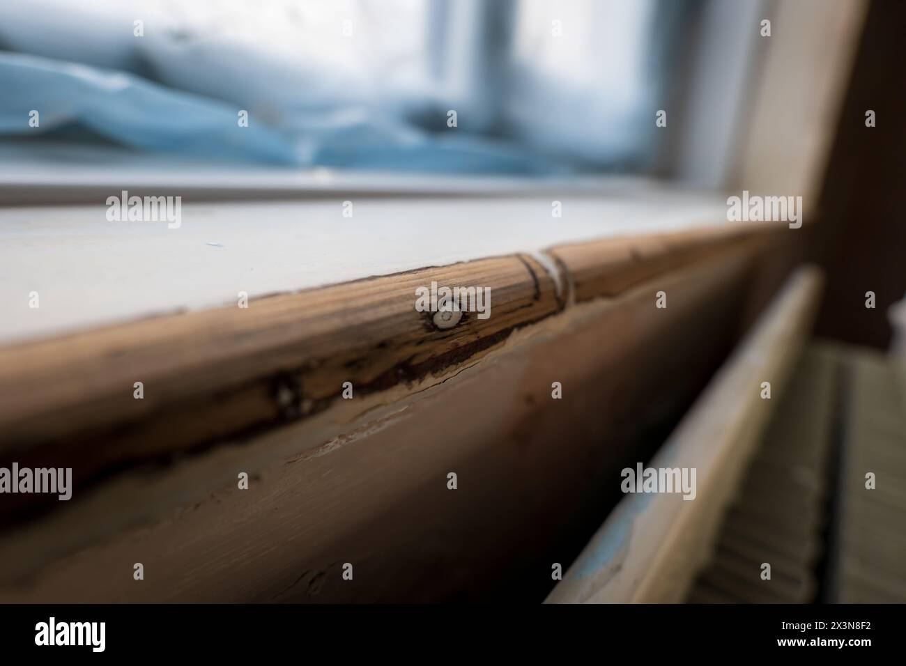 sanded wooden window board closeup during home renovation. Stock Photo