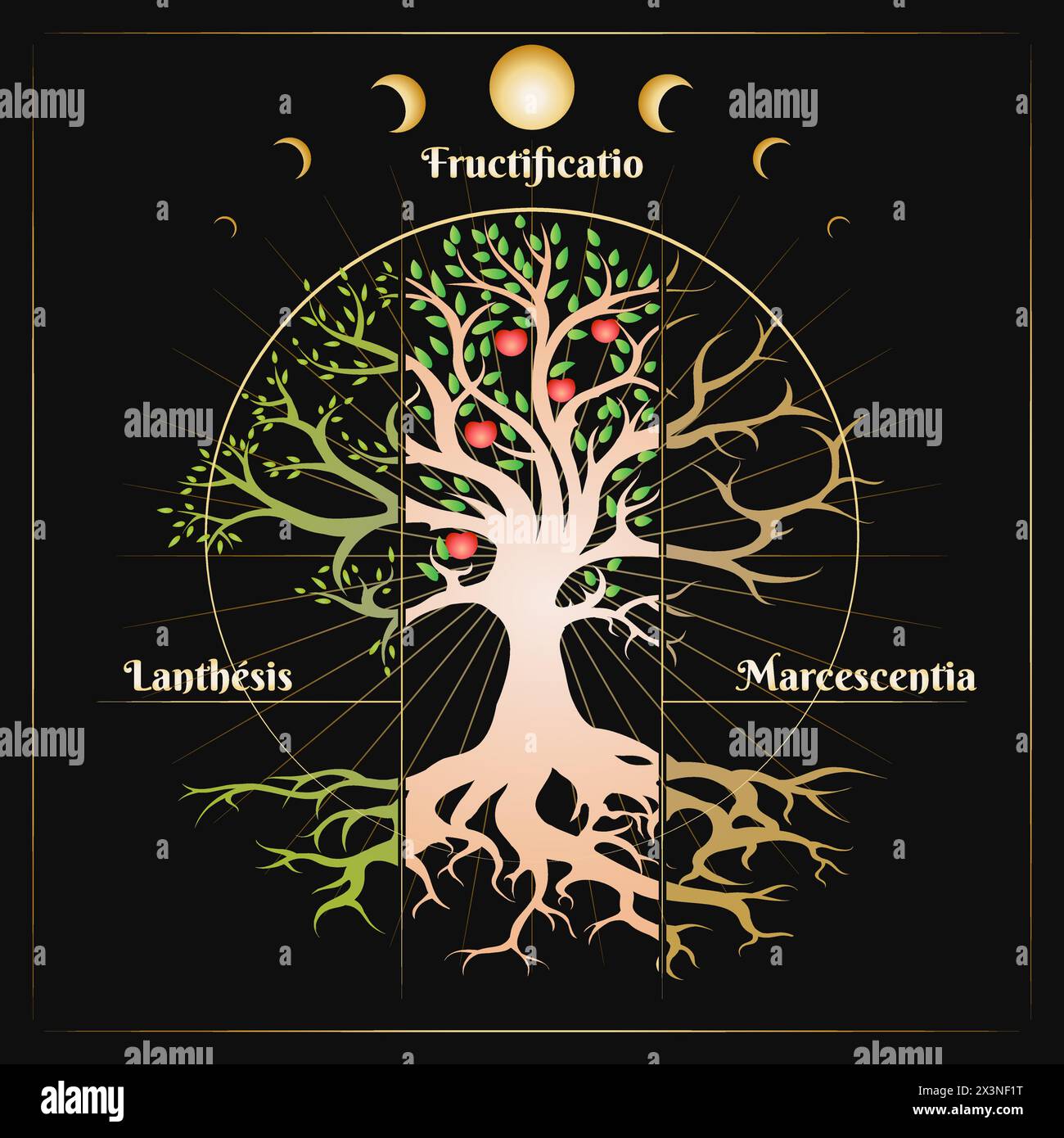 Tree of Essence in Circle of Life Medieval Esoteric vector Illustration isolated on black Background. No AI software used. Stock Vector