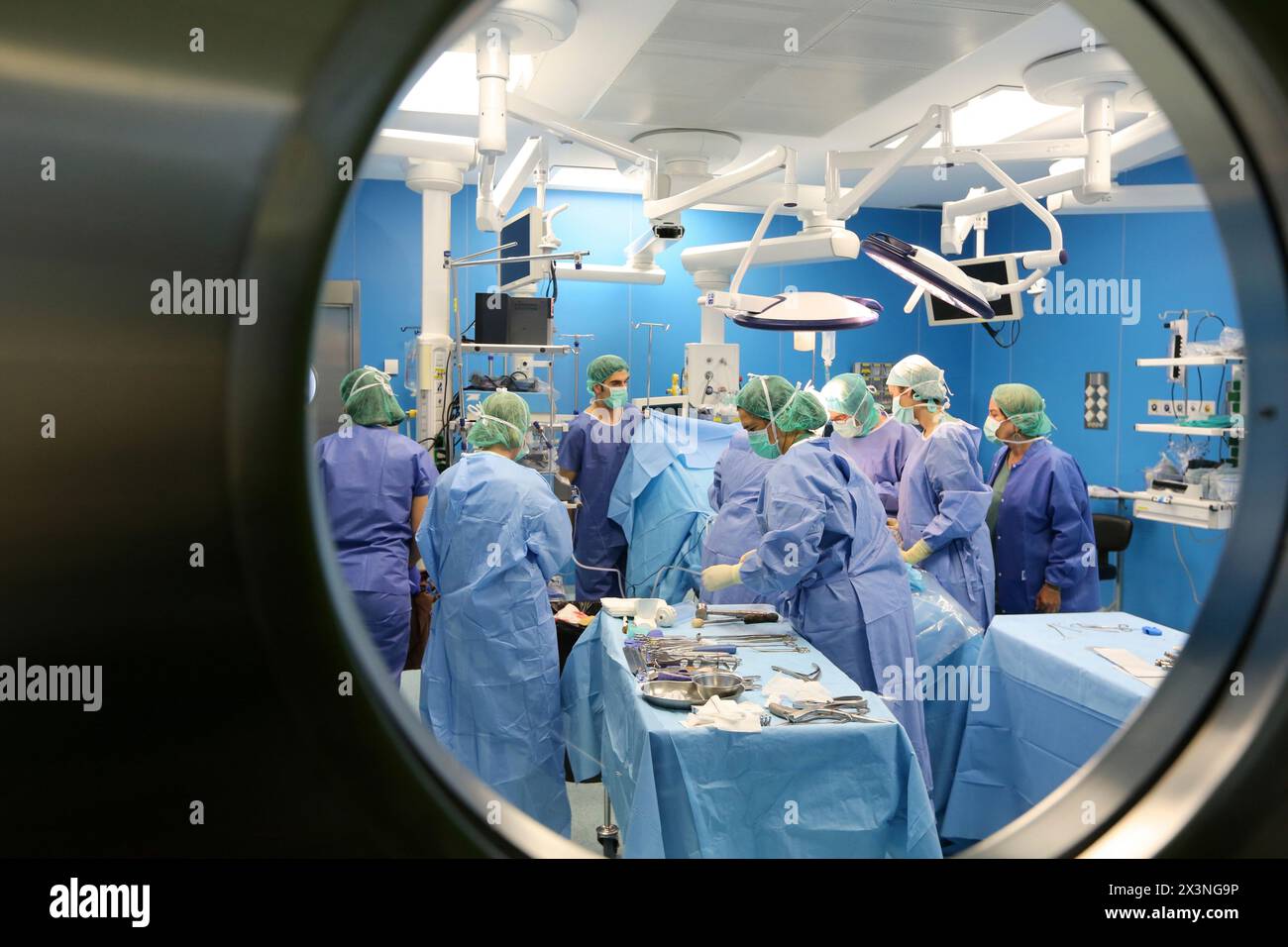 Hip replacement surgery, Orthopedics and Trauma surgery, Surgeon, Operating Theatre, Donostia Hospital, San Sebastian, Donostia, Gipuzkoa, Basque Coun Stock Photo