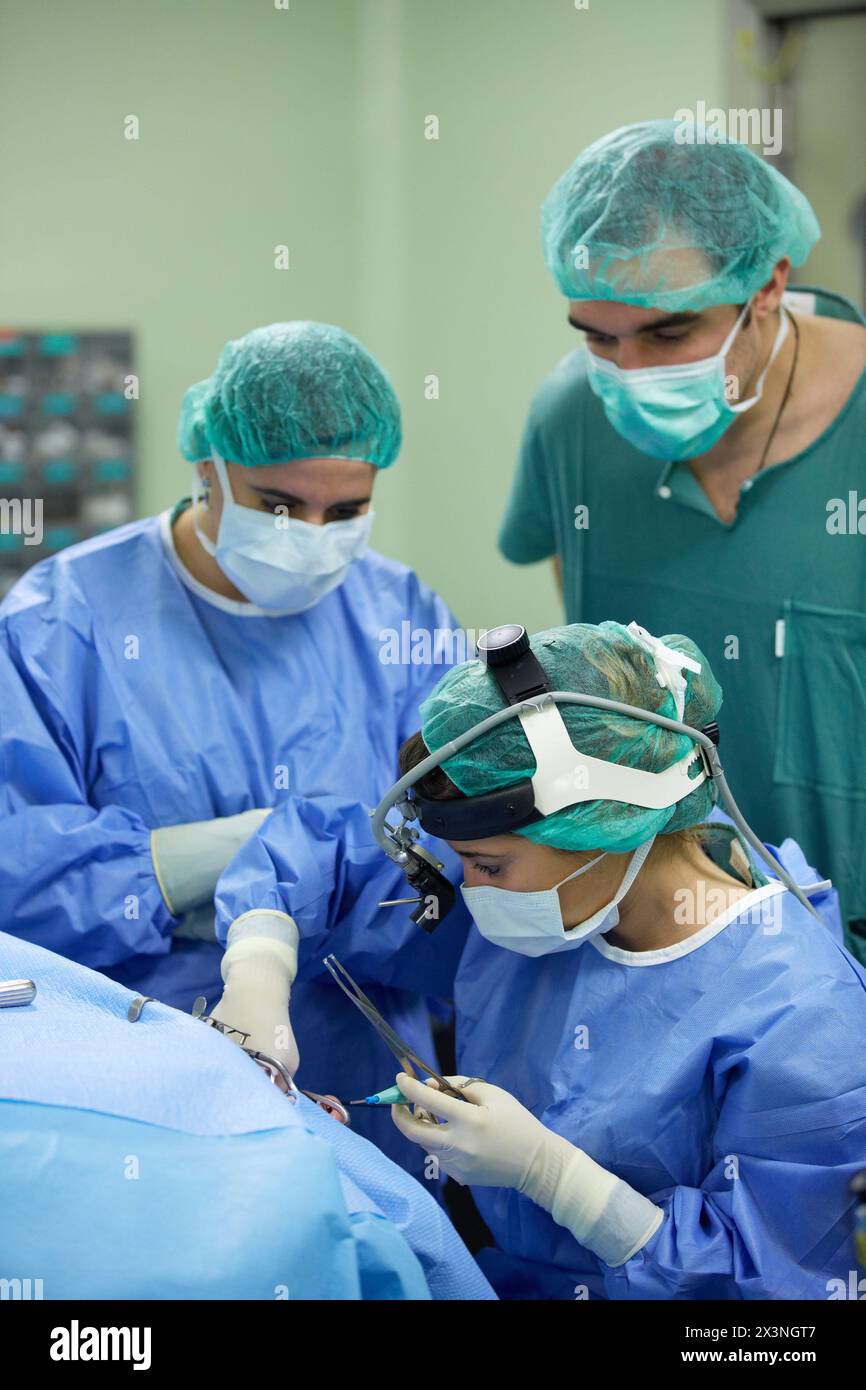 Tonsillectomy, Surgeons performing a tonsillectomy tonsil removal surgery, ORL, Otolaryngology Operating Room, Hospital Donostia, San Sebastian, Gipuz Stock Photo