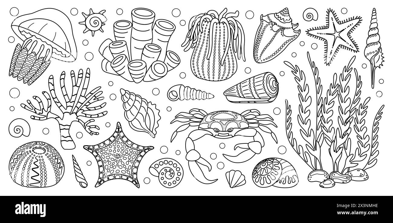 Hand drawn line art sea life elements set. Aquatic animals, anemones, crab, algae, shells, starfish, coral reef plants. Trendy doodle style underwater ecosystem coloring book. Vector illustration Stock Vector