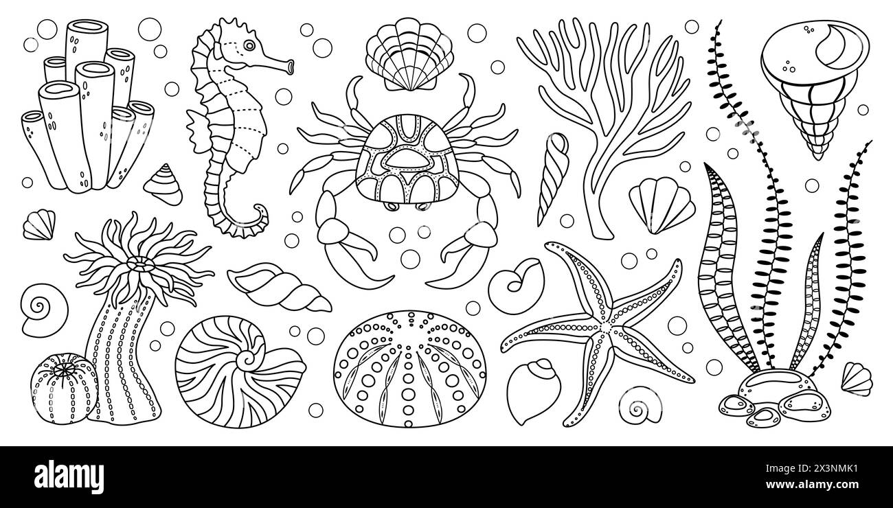 Hand drawn line art sea life elements set. Aquatic animals, anemones, crab, algae, seashells, starfish, sea horse. Trendy doodle style underwater ecosystem coloring book. Vector illustration Stock Vector
