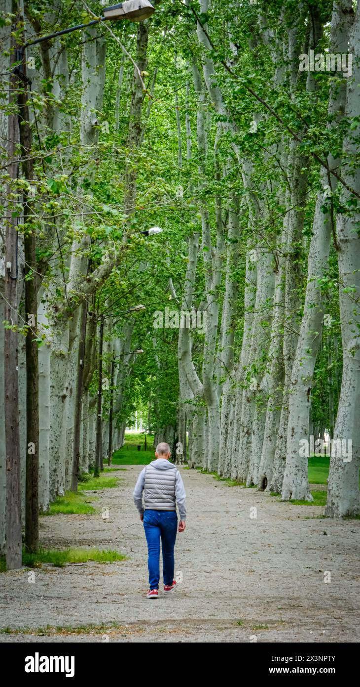Man walks alone hi-res stock photography and images - Alamy