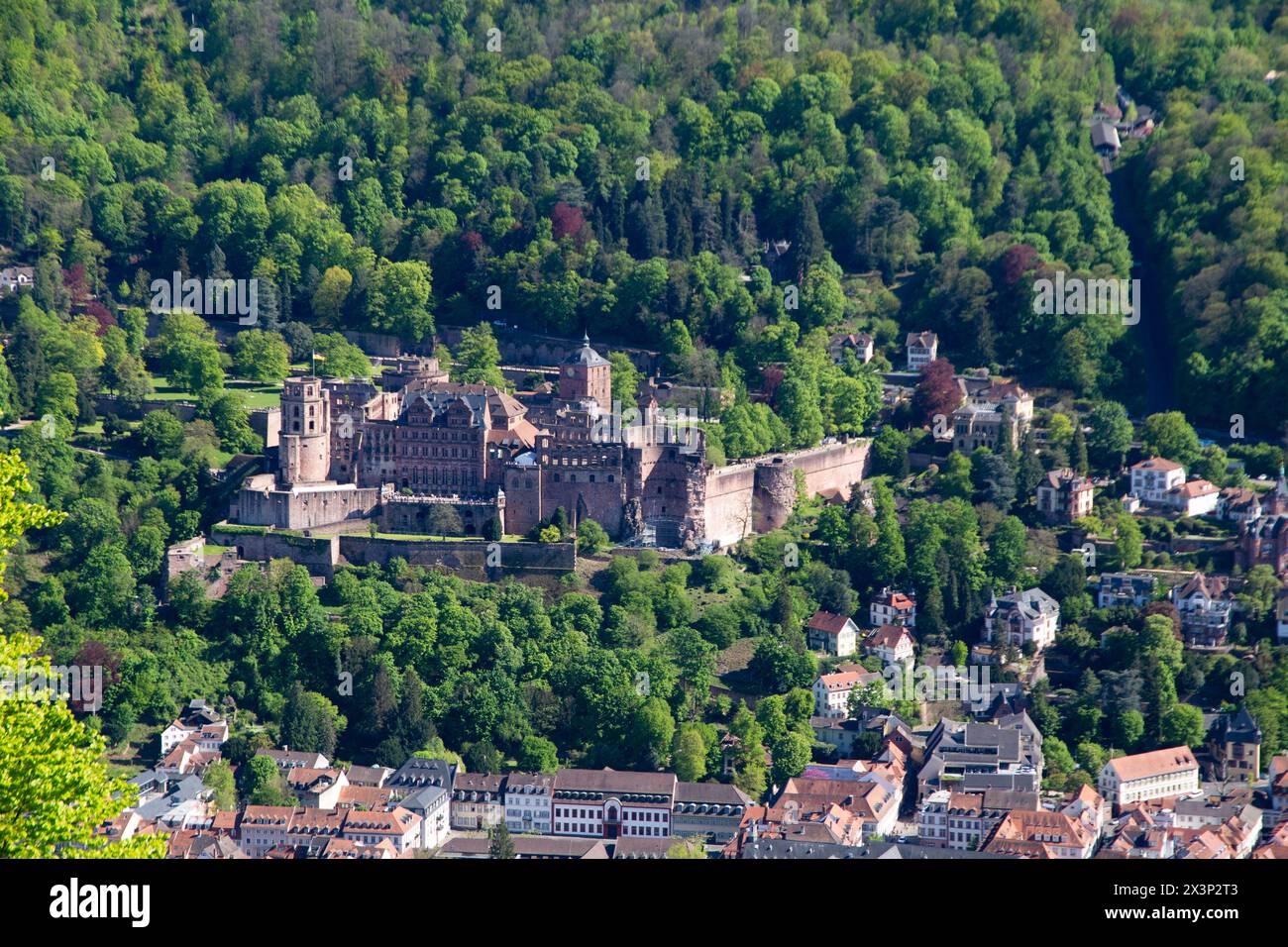 View of Heidelberg Castle from the Heiligenberg on the opposite side of the Neckar Stock Photo