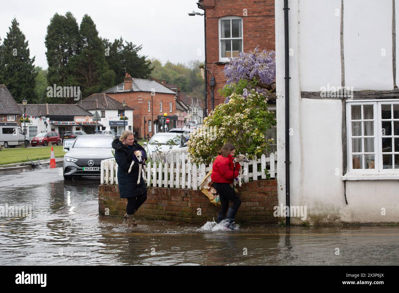 Chalfont St Giles, Buckinghamshire, UK. 28th April, 2024. Dogs getting carried through floodwater. Parts of the village of Chalfont St Giles in Buckinghamshire was flooded again today after heavy overnight rain. There are ongoing issues with groundwater flooding across the Chalfonts. Credit: Maureen McLean/Alamy Live News Stock Photo