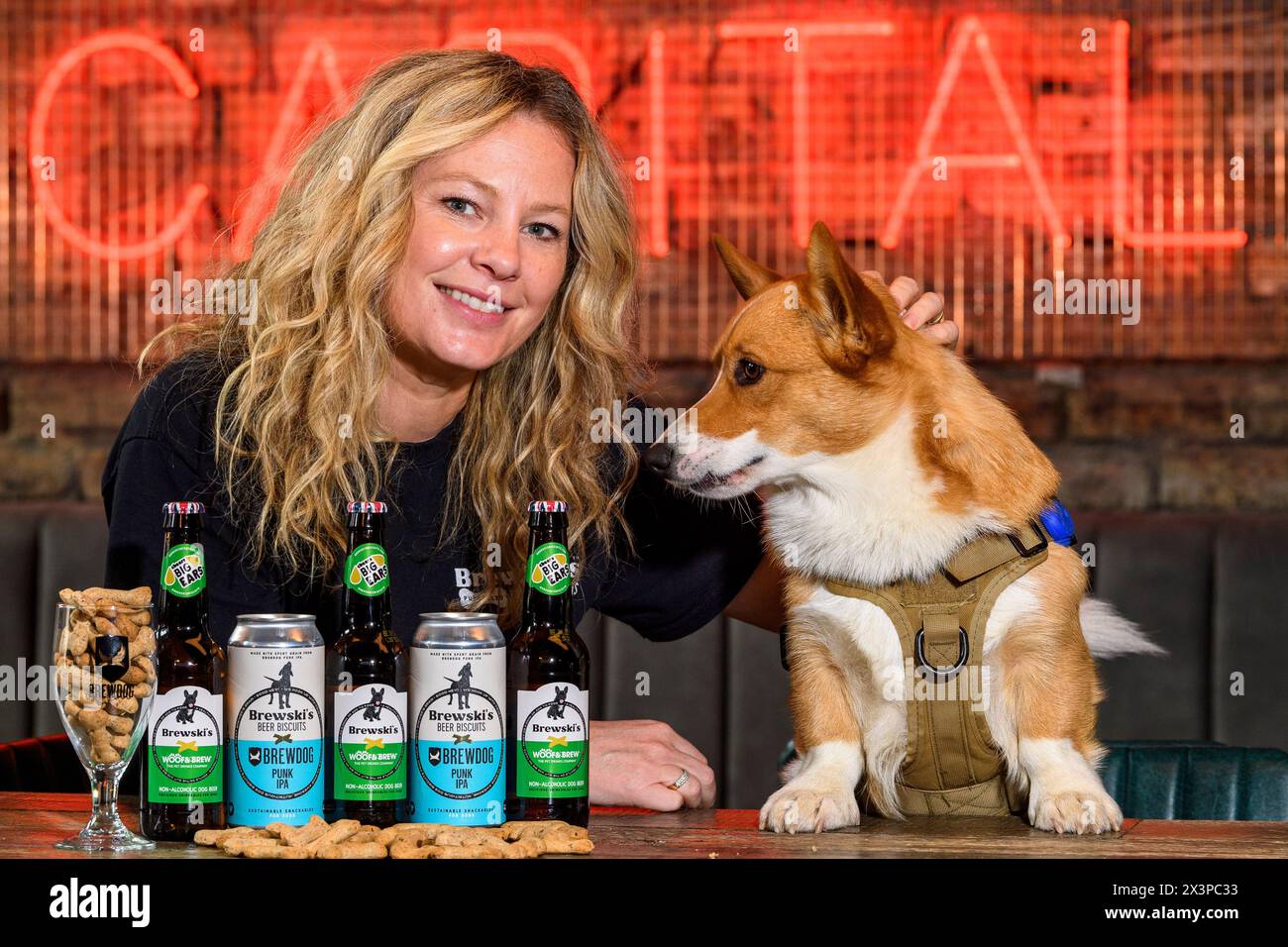 Pictured: Clare Douglas   Brewski's Dog Beer Stock Photo
