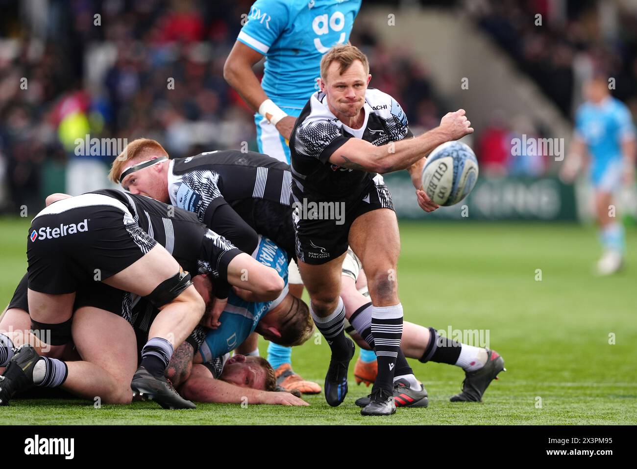 Newcastle Falcons' Sam Stuart releases the ball from a scrum during the Gallagher Premiership match at Kingston Park, Newcastle upon Tyne. Picture date: Sunday April 28, 2024. Stock Photo