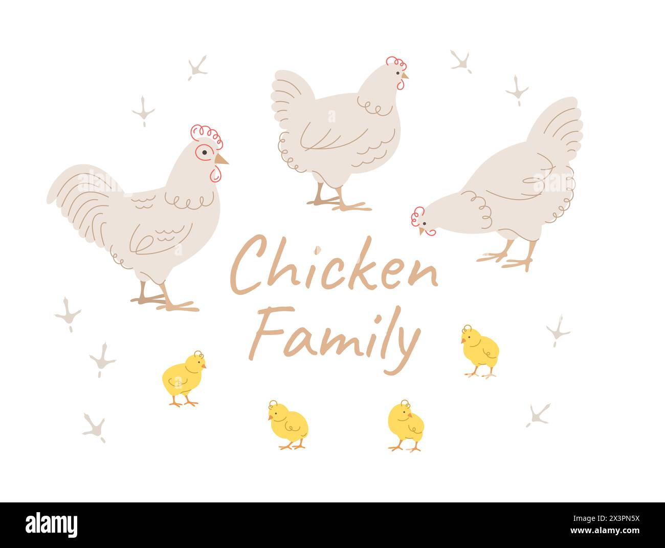 Cute doodle chicken family members. Hand drawn linear chicken, rooster and adorable chicks in different poses, isolated on white. Stylized vector cart Stock Vector