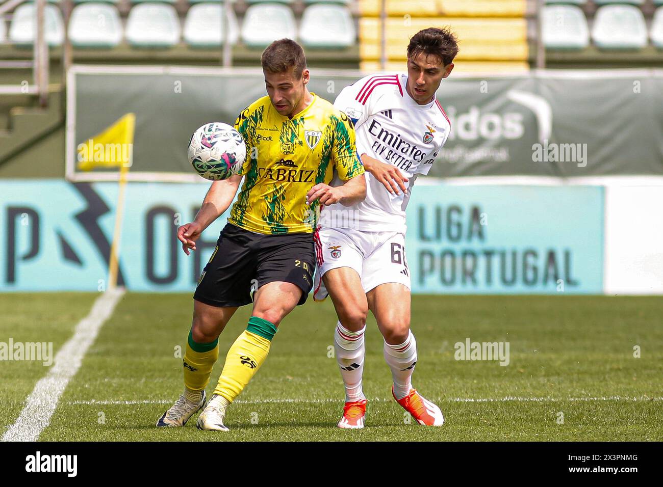 Tondela, Pt, PORTUGAL. 28th Apr, 2024. Tondela (PT), 04/28/2024 - LIGA PORTUGAL SABSEG/CD TONDELA x SL BENFICA-B Ã¢â‚¬' Rui Gomes CD Tondela player during the match between CD Tondela x SL Benfica-B, valid for the 31st round of the LIGA PORTUGAL SABSEG, held at the Joao Cardoso Stadium, in Tondela, this Sunday afternoon,(28) (Credit Image: © Alexandre Gomes/TheNEWS2 via ZUMA Press Wire) EDITORIAL USAGE ONLY! Not for Commercial USAGE! Stock Photo
