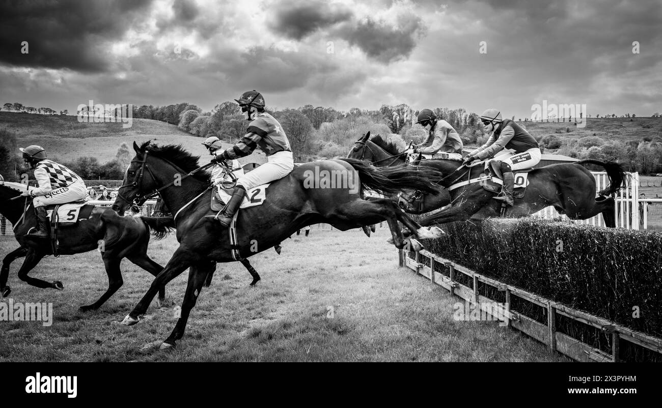27th April 2024:: Black and white photo essay - Overton Point to Point Racing, South Lanarkshire, Scotland Stock Photo