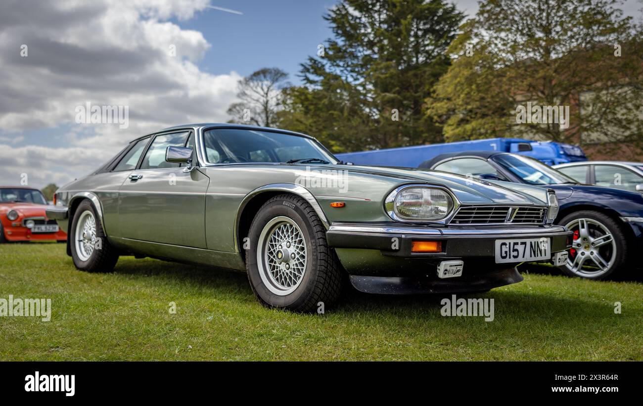 1990 Jaguar  XJ-S H.E., on display at the April Scramble held at the Bicester Heritage Centre on the 21st April 2024. Stock Photo