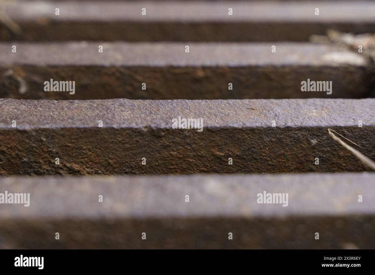 A detailed view of a metal grate with a plant sprouting through the