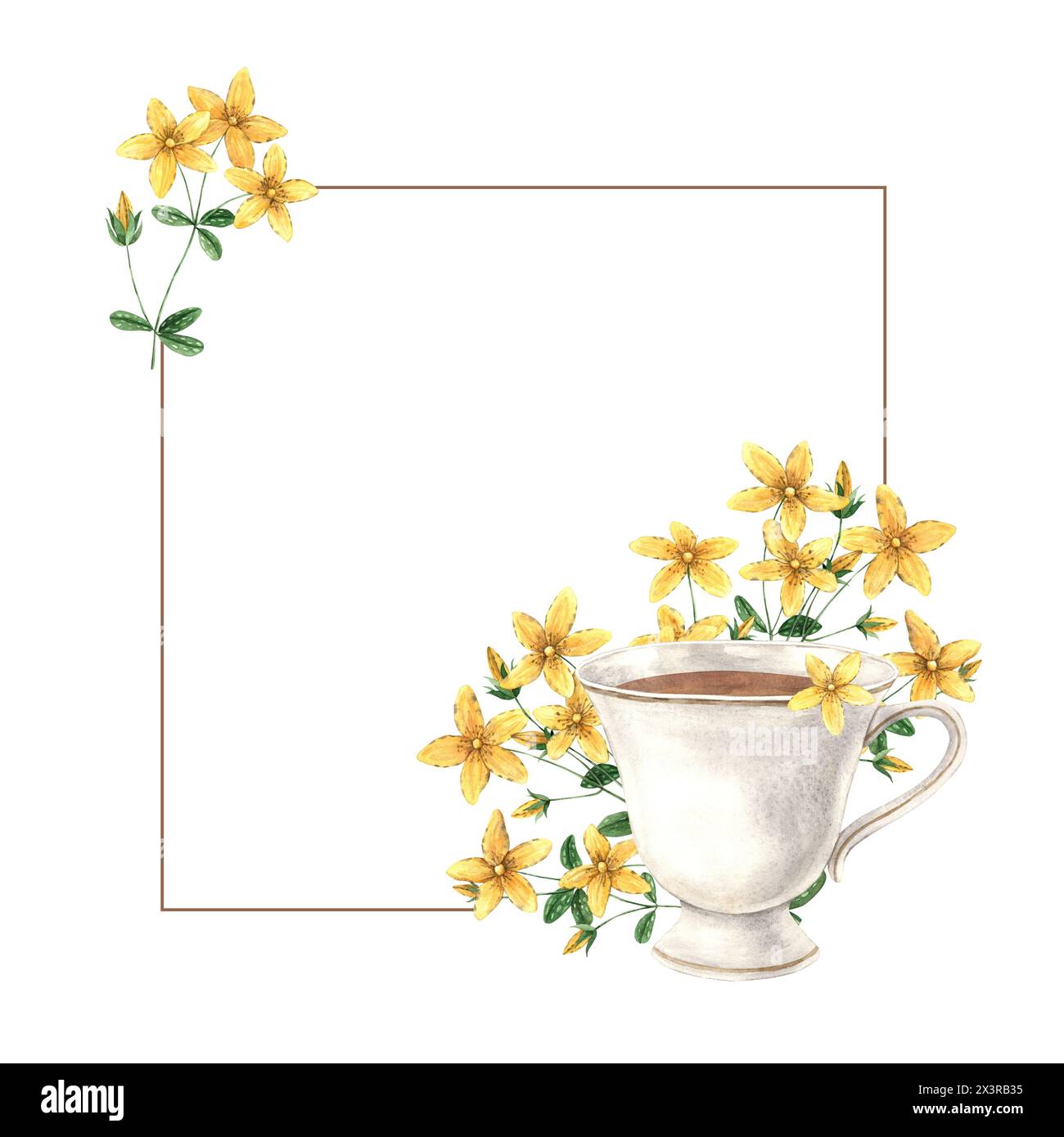 Watercolor frame with vintage mug and St. John's wort flowers. The illustration is hand drawn on an isolated background. Drawing for menu design, pack Stock Photo