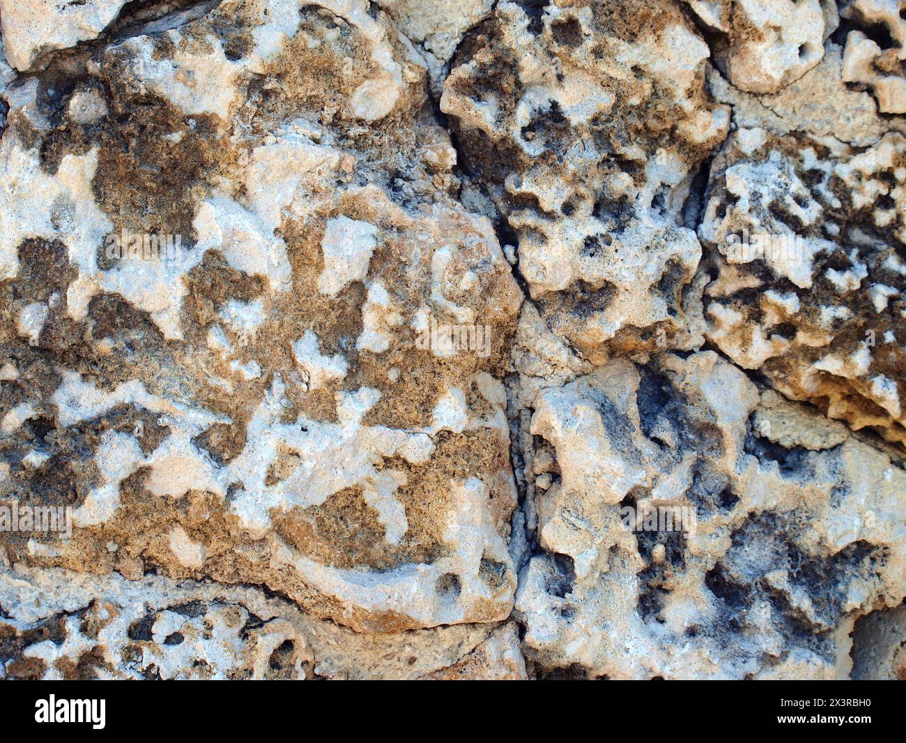 Texture of coral rocks in a wall of traditional old house in Florida. Stock Photo