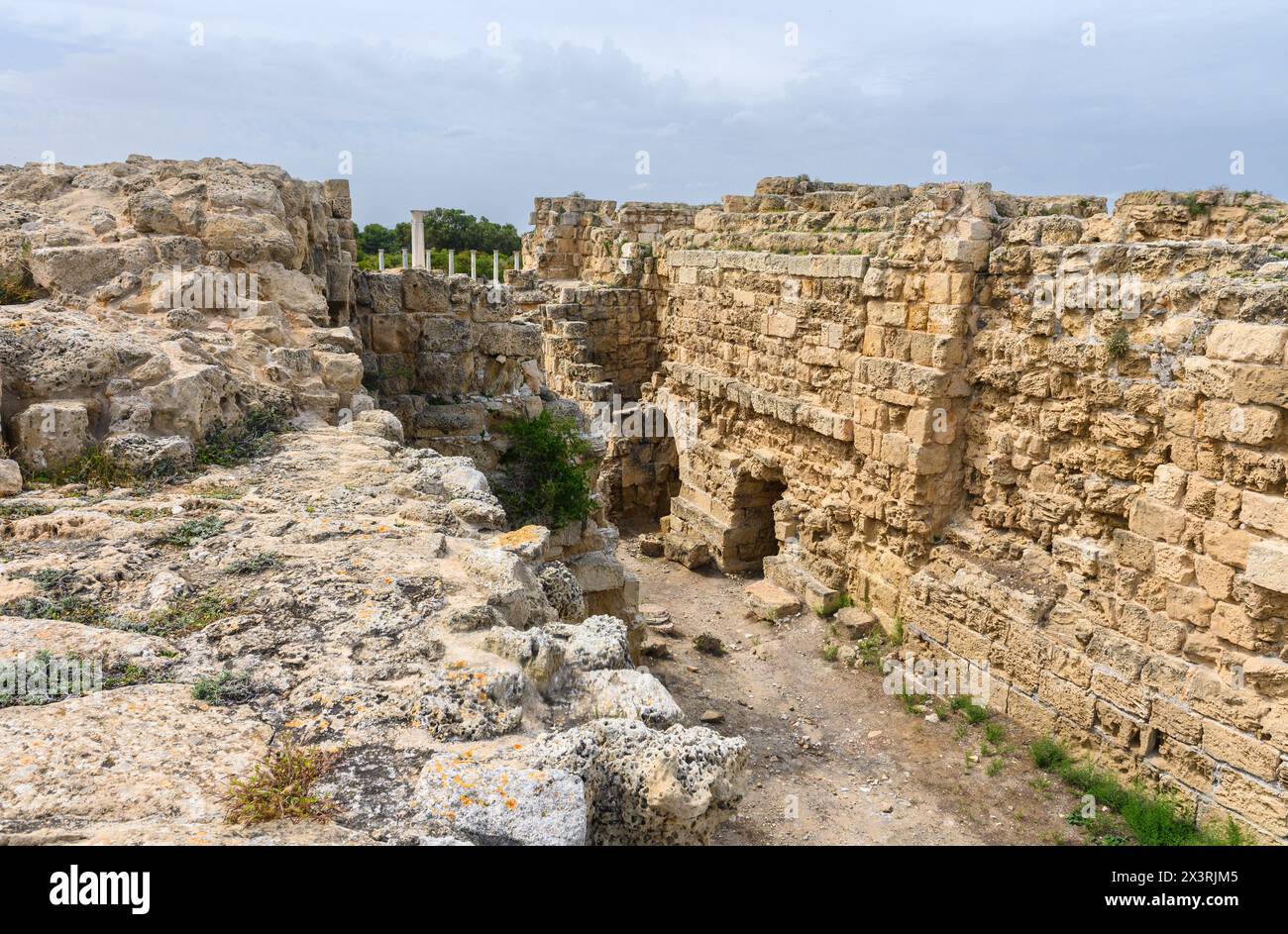 Statue columns salamis roman ruins hi-res stock photography and images ...