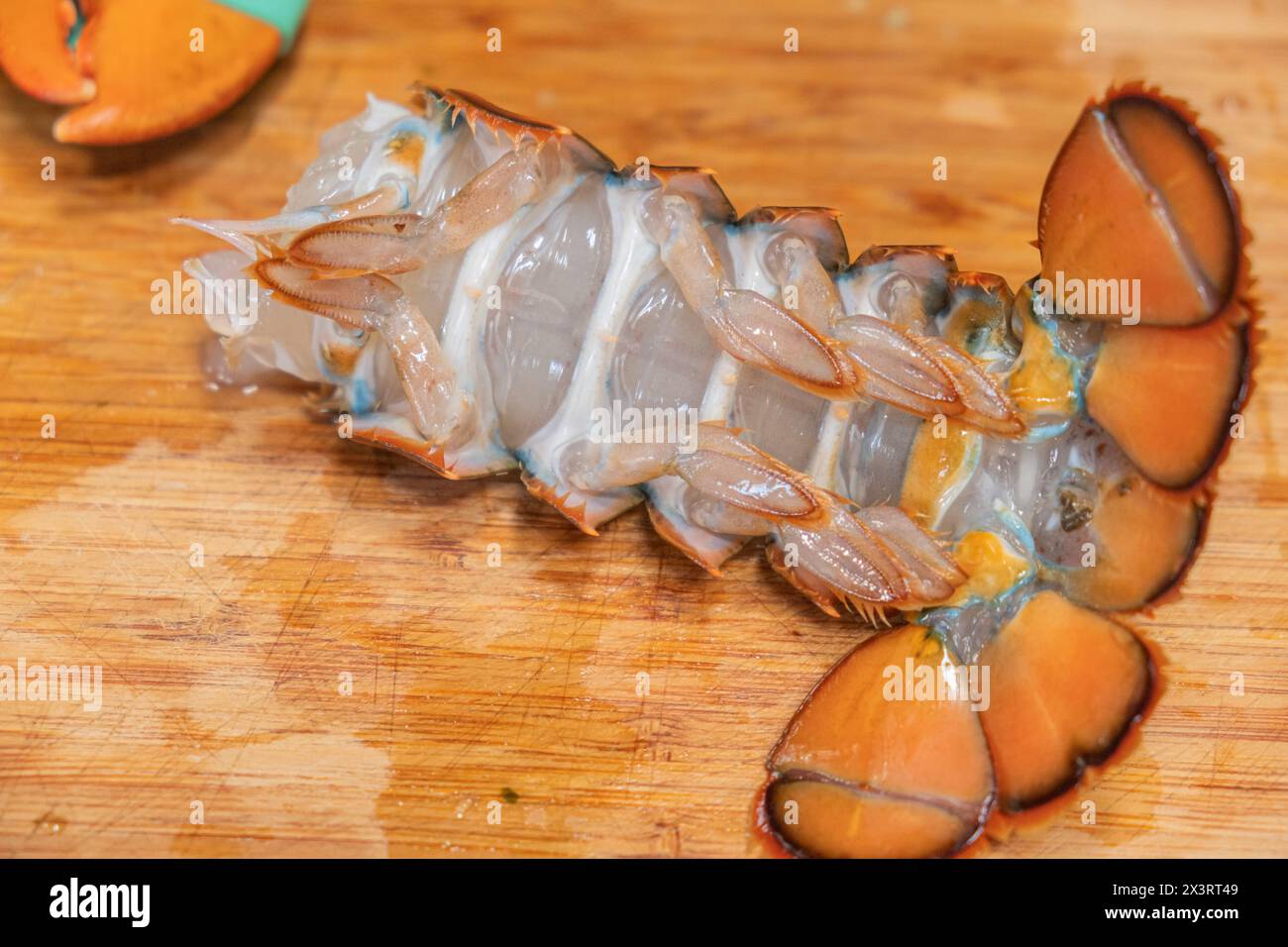 fresh lobster tail on wooden board, close-up. gourmet ingredient Stock Photo