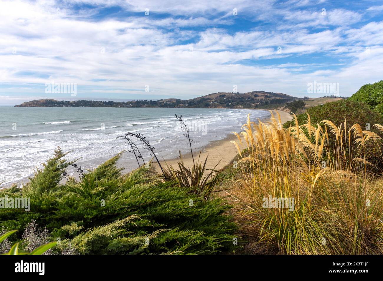 Moeraki Boulders (Kaihinaki) Beach from cafe, Moeraki, Otago, South Island, New Zealand Stock Photo