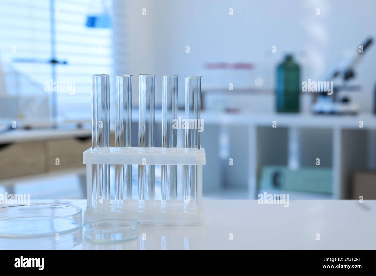 Laboratory analysis. test tubes and petri dishes on white table indoors ...