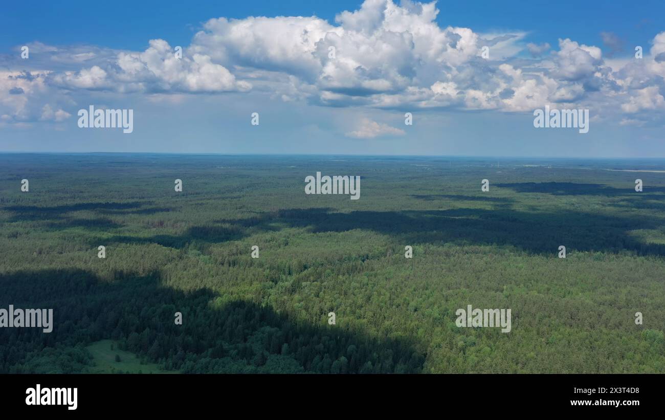 Aerial flight over pine tree hi-res stock photography and images - Alamy