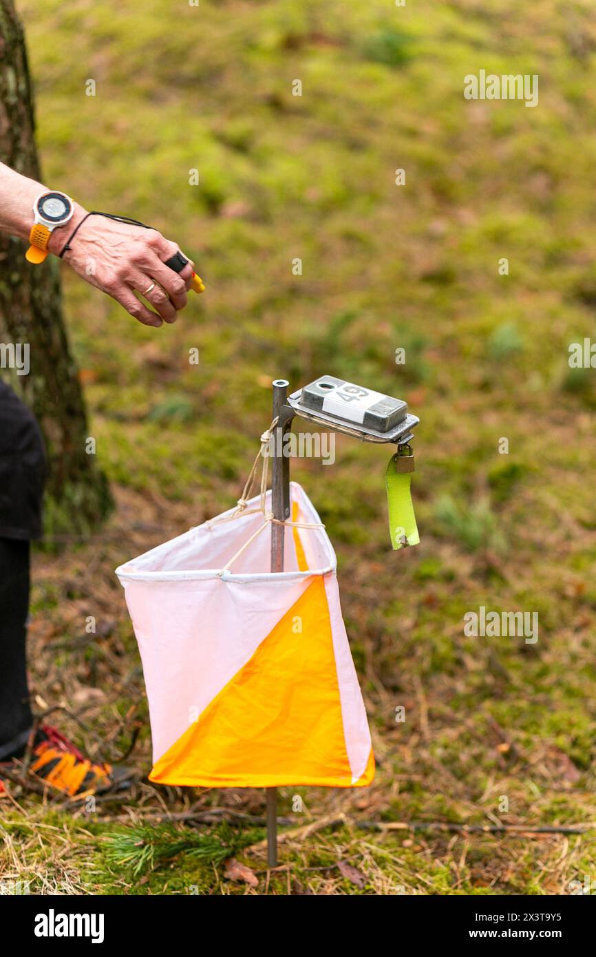 The elderly woman punching at the orienteering control point. Hand of old female in forest checking to a control point. Selective focus Stock Photo